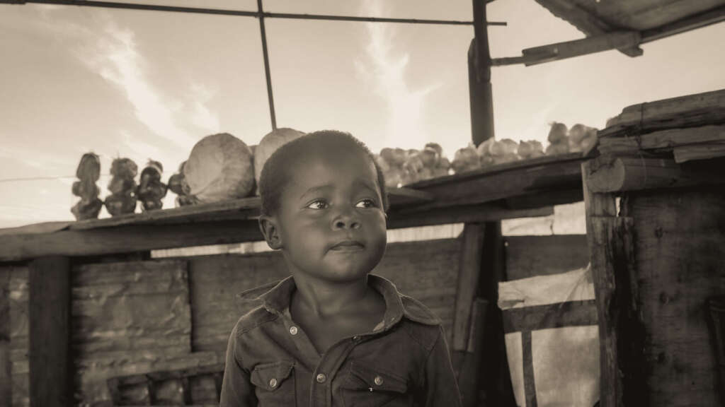 David d. dodge foundation where human rights matter 5
